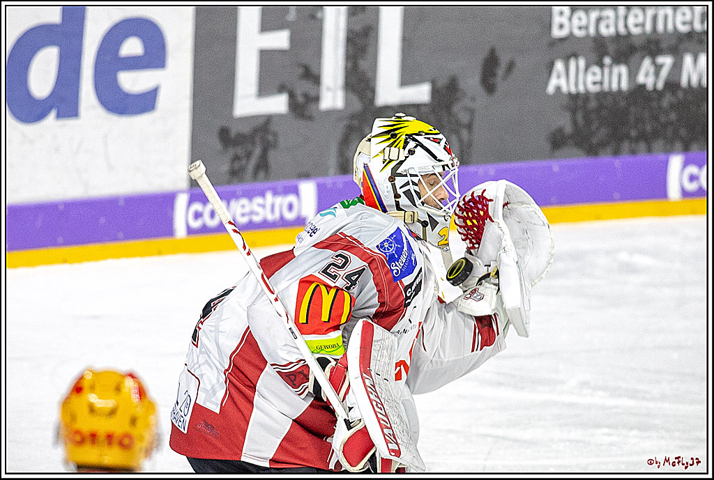 DEL; Koelner Haie - Fischtowns Pinguins Bremerhaven, 24.01.2019